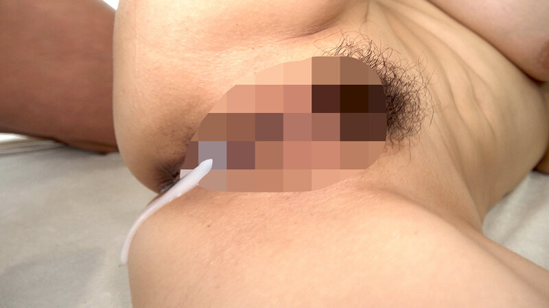 サンプル画像